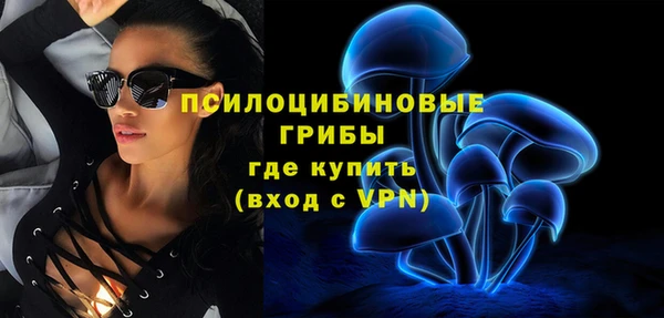 шишки Аркадак