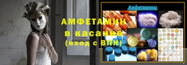 шишки Аркадак
