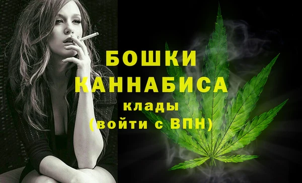 шишки Аркадак