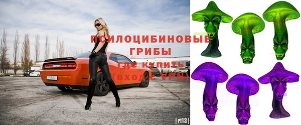 мдпв Арсеньев