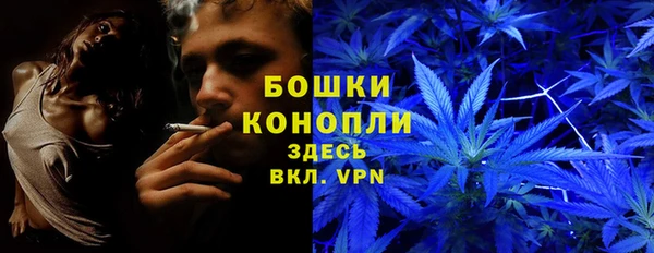шишки Аркадак
