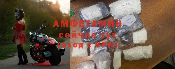 шишки Аркадак