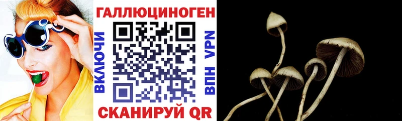 Псилоцибиновые грибы мухоморы  Калининград 